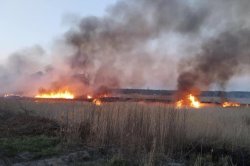ПОЖЕЖНИКИ ПОВІДОМЛЯЮТЬ ПРО ВИПАДКИ ГОРІННЯ СУХОСТОЇВ
