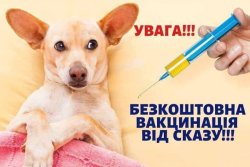 ДЕ В ОБУХІВСЬКОМУ РАЙОНІ МОЖНА БЕЗКОШТОВНО ЗРОБИТИ ЩЕПЛЕННЯ ТВАРИН ПРОТИ СКАЗУ? 