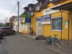ПЕРШІ КРОКИ ВІДНОВЛЕННЯ ЖИТТЄДІЯЛЬНОСТІ КОЗИНА ПІСЛЯ КАРАНТИНУ