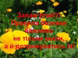 ПРАВИЛА ПОВЕДІНКИ ПІД ЧАС ПРОГУЛЯНКИ У ЛІСІ