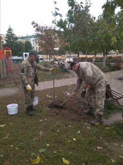 ОСІННІЙ БЛАГОУСТРІЙ У КОЗИНСЬКІЙ ТГ