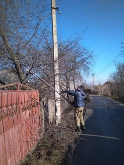 ОБРІЗКА ДЕРЕВ У ПІДГІРЦЯХ