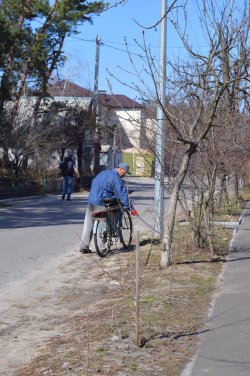 У Козині стартував місячник весняного благоустрою