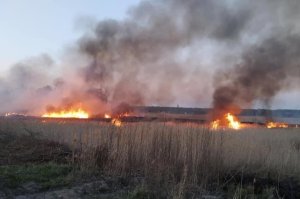 ПОЖЕЖНИКИ ПОВІДОМЛЯЮТЬ ПРО ВИПАДКИ ГОРІННЯ СУХОСТОЇВ