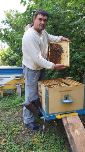 Бджоляр - медових справ майстер